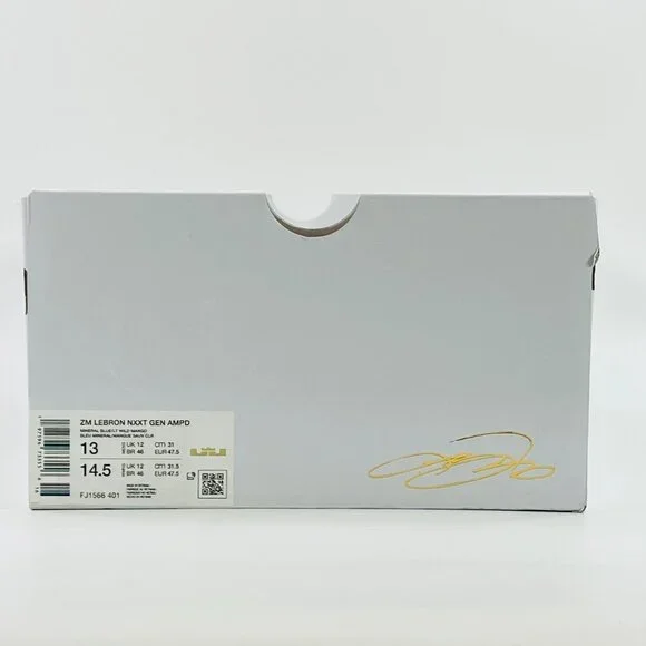 Nike Zoom Lebron NXXT Gen AMPD 'Miami' FJ1566-401 Basketball Multi